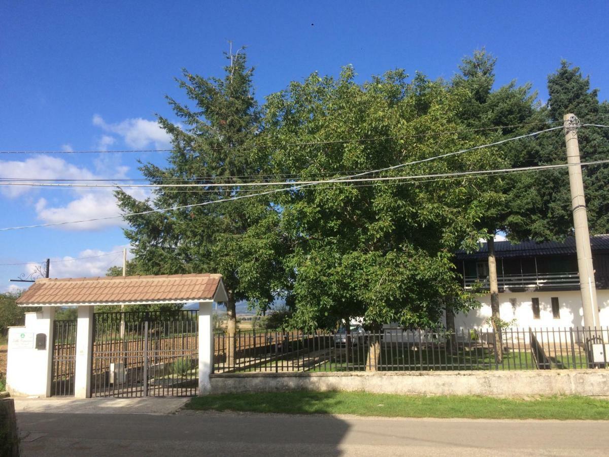 Villa Capuano B&B 카미글리아텔로 실라노 외부 사진